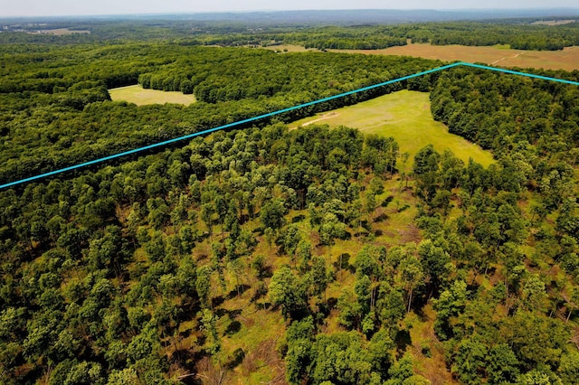 aerial view with a wooded view