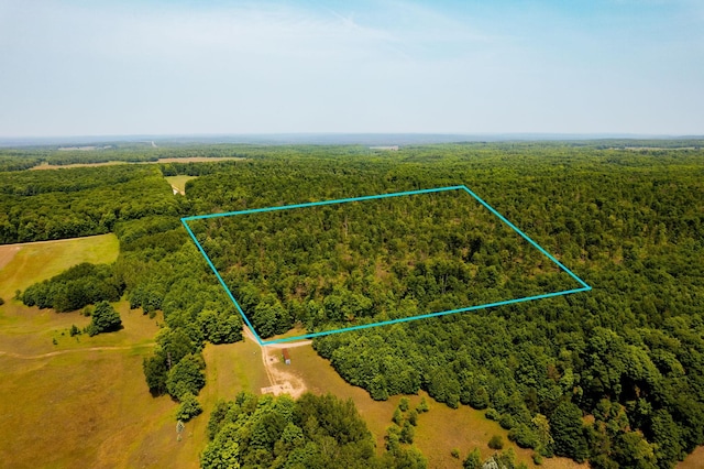 drone / aerial view with a wooded view
