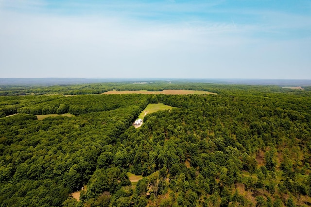 birds eye view of property featuring a wooded view