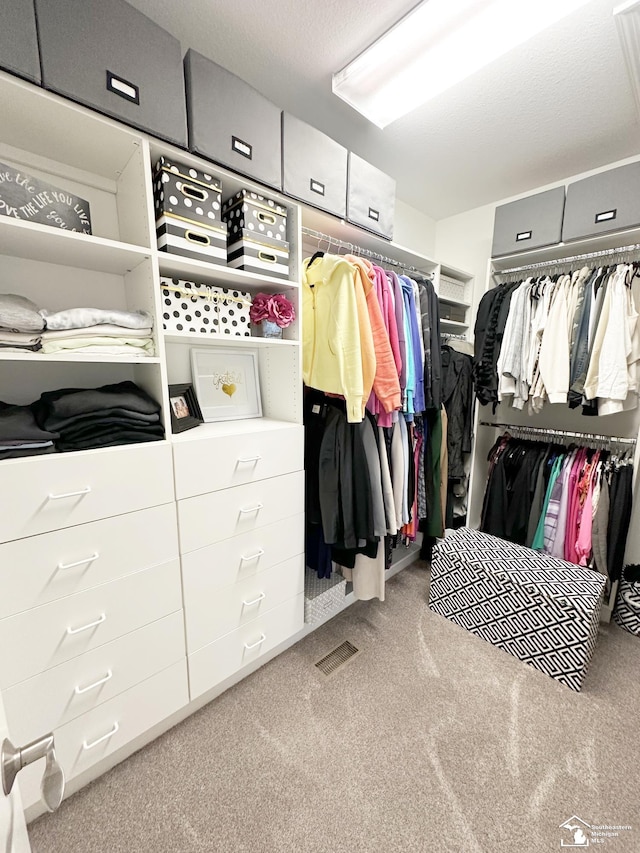 spacious closet with carpet floors