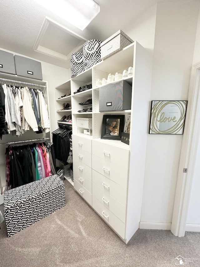 spacious closet featuring carpet flooring