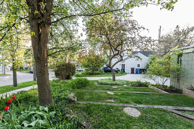 view of yard with driveway