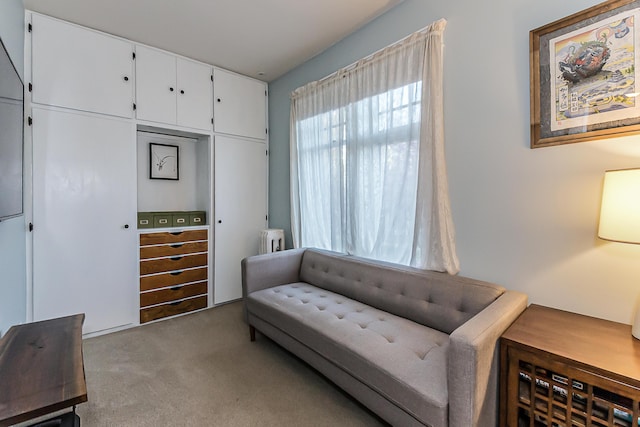 living area with carpet flooring and radiator heating unit