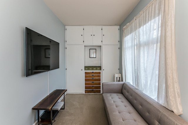 living room with a healthy amount of sunlight, radiator heating unit, and carpet
