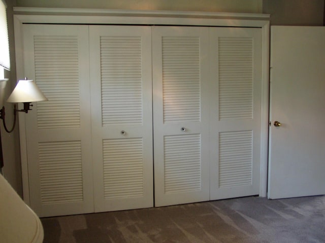 details with carpet flooring