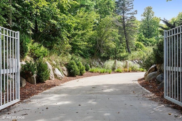 exterior space featuring a gated entry and driveway