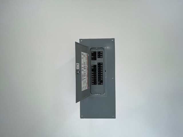 171 Davis St, Wyandotte, MI 48192 - detailed view of electric panel