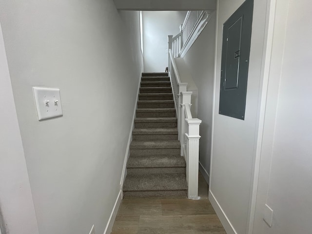 171 Davis St, Wyandotte, MI 48192 - stairway with wood finished floors, electric panel, and baseboards