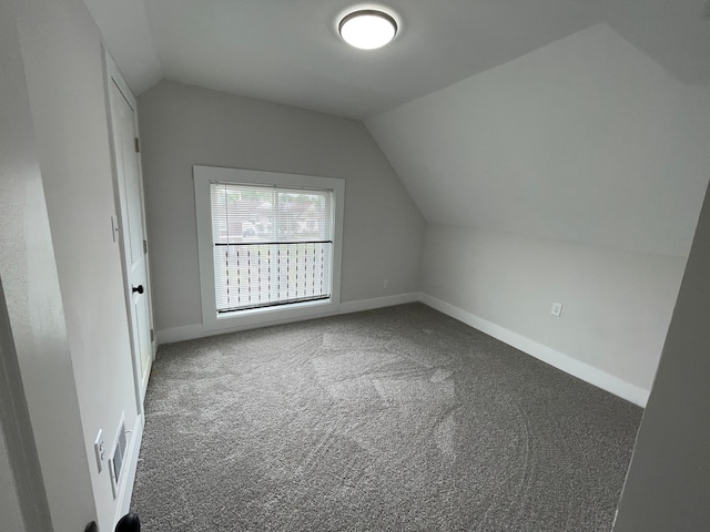 171 Davis St, Wyandotte, MI 48192 - additional living space featuring lofted ceiling, carpet flooring, and baseboards