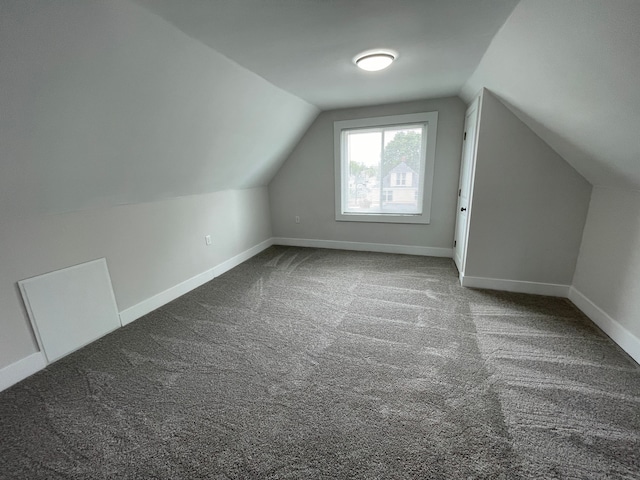 171 Davis St, Wyandotte, MI 48192 - additional living space with lofted ceiling, carpet floors, and baseboards