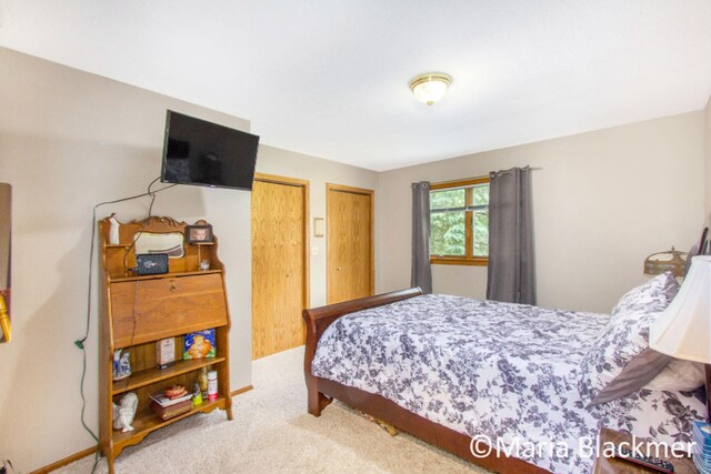 carpeted bedroom with multiple closets