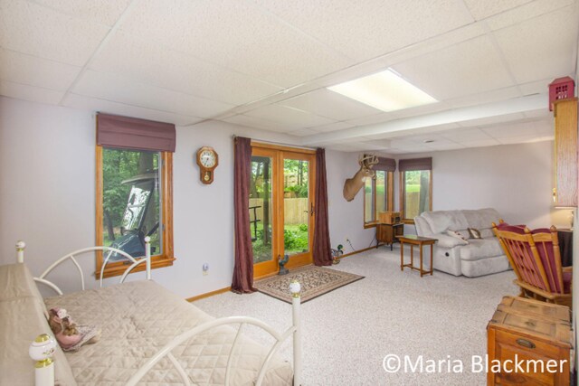 living area with baseboards, carpet, and a paneled ceiling