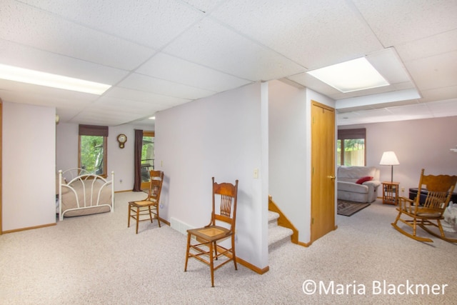living area with plenty of natural light, carpet flooring, and a drop ceiling