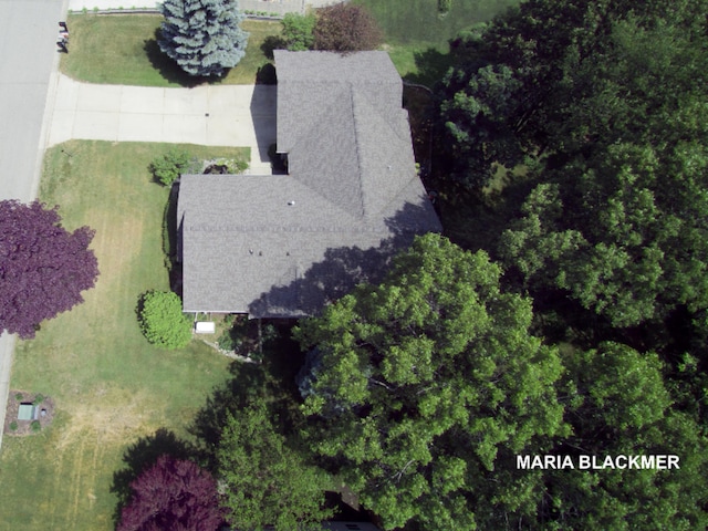 aerial view