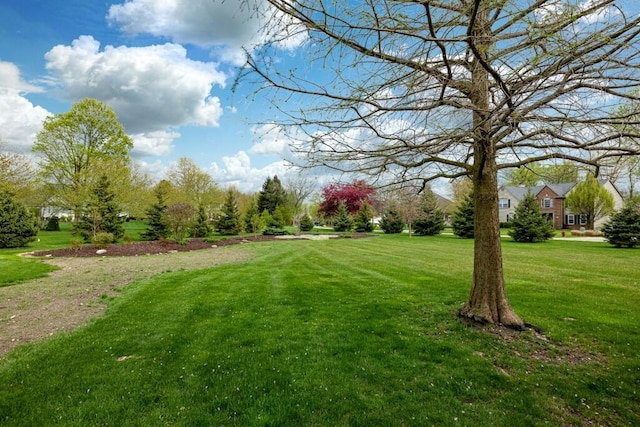 view of property's community featuring a lawn