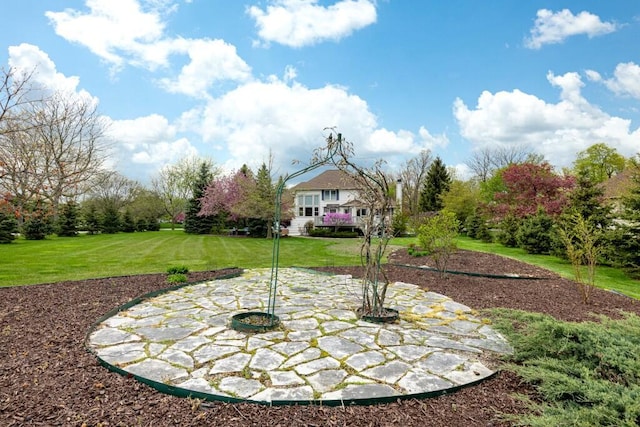 view of yard with a patio