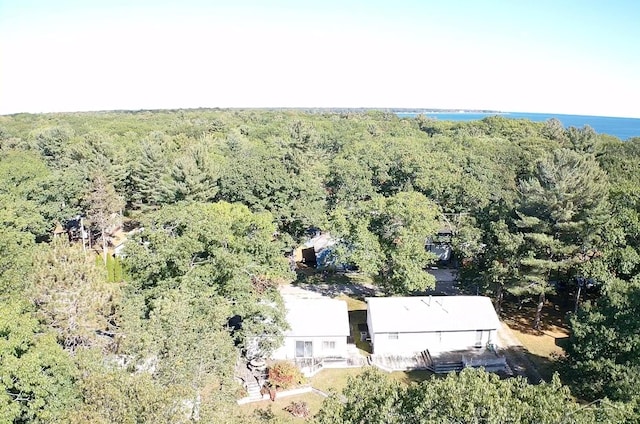 bird's eye view with a forest view