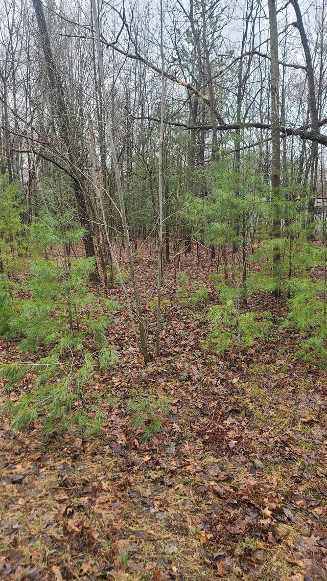 0001 Laura Ln, Kalkaska, MI 49646 - photo 2