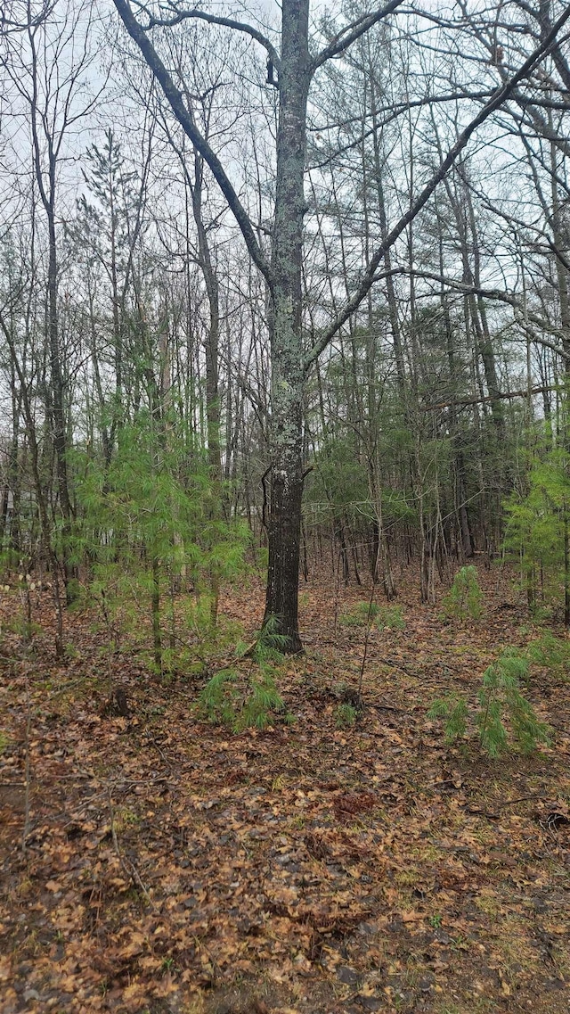 0001 Laura Ln, Kalkaska, MI 49646 - photo 3