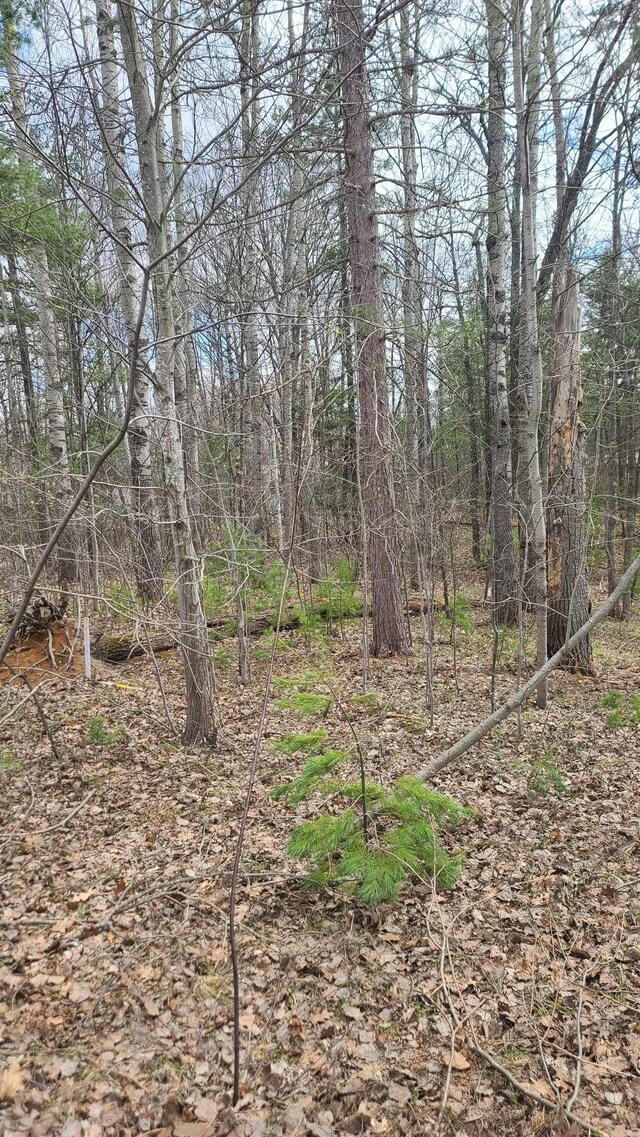 0001 Laura Ln, Kalkaska, MI 49646 - photo 4