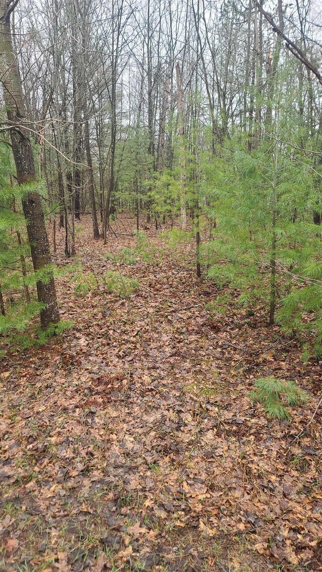 0001 Laura Ln, Kalkaska, MI 49646 - photo 5