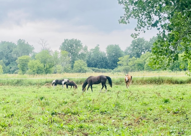 view of nature with a rural view