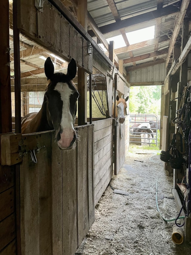 view of horse barn