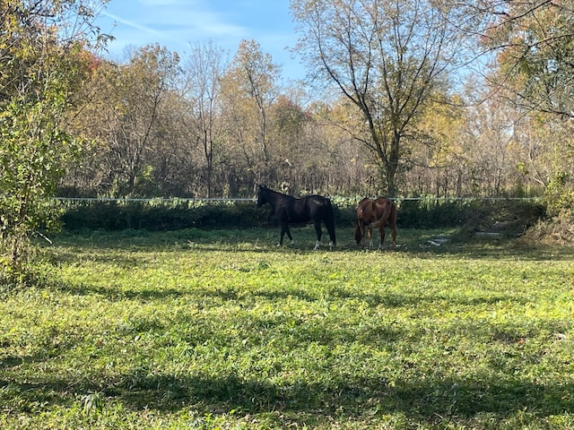 view of yard with a rural view