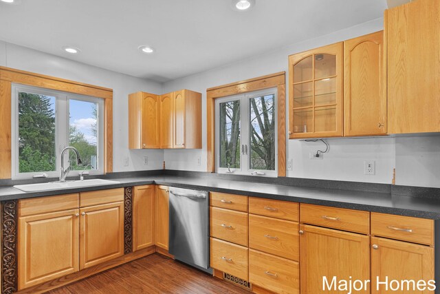 kitchen with a sink, a healthy amount of sunlight, dark wood-style floors, and dishwasher