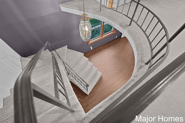 staircase featuring wood finished floors