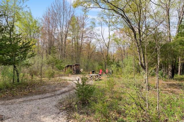 view of road featuring a wooded view