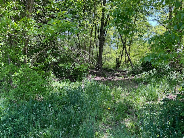 LOT40 Heron Dr, Lapeer, MI 48446