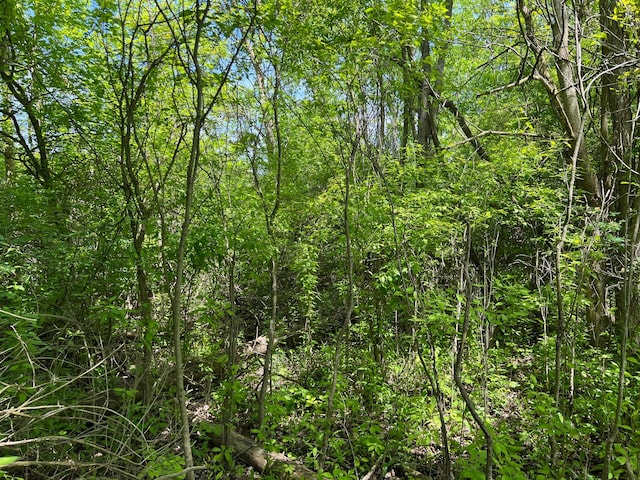 LOT40 Heron Dr, Lapeer, MI 48446