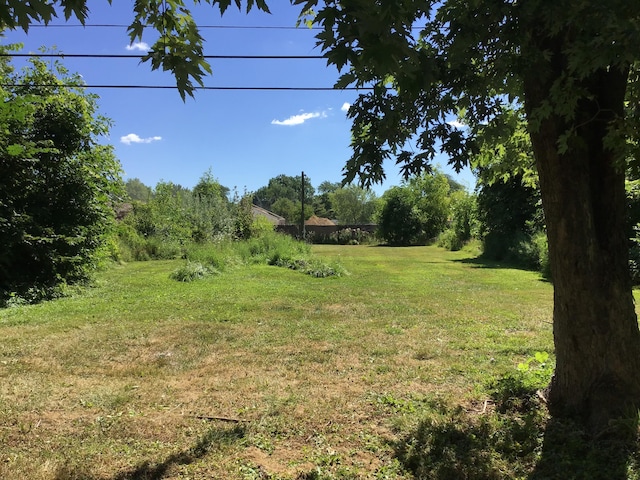 23822 Wellington Ave, Warren, MI 48089 - view of yard