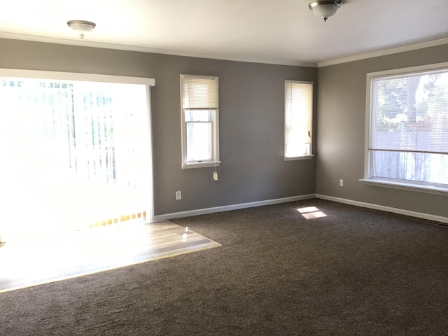 23822 Wellington Ave, Warren, MI 48089 - unfurnished room featuring crown molding, baseboards, a healthy amount of sunlight, and dark colored carpet