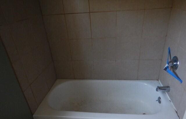 view of full bathroom