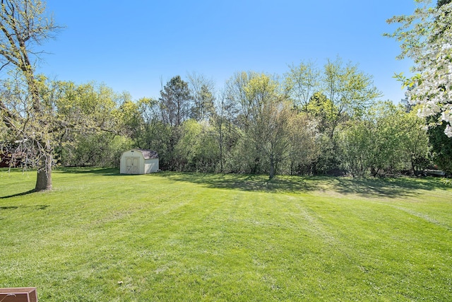 view of grassy yard with a storage unit and an outbuilding