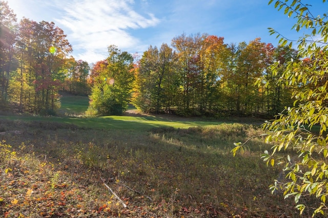 4972 Hawks Spur, Bellaire, MI 49615