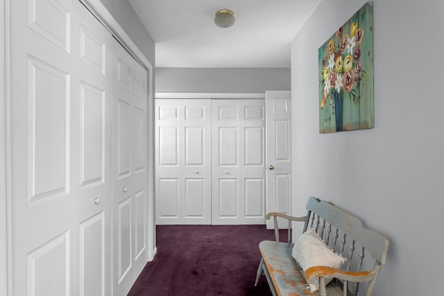 corridor featuring carpet floors