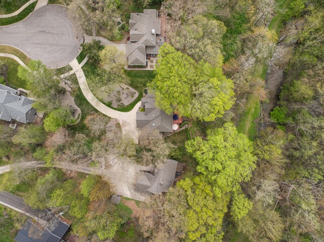 bird's eye view