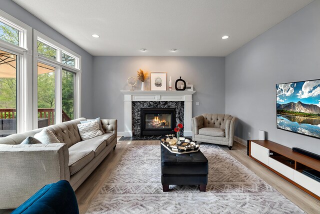 living room featuring recessed lighting, baseboards, wood finished floors, and a premium fireplace