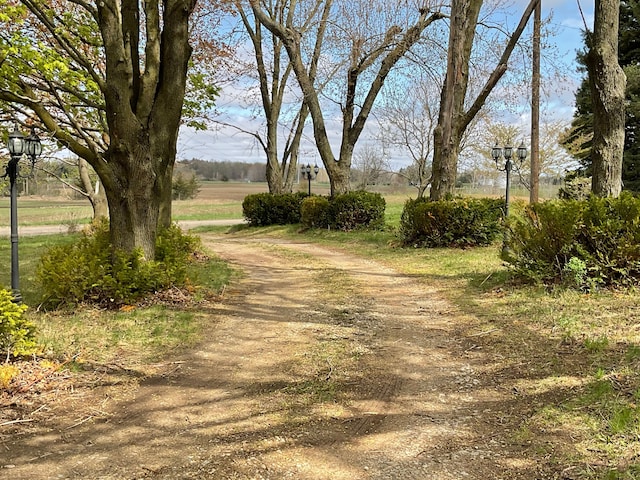 view of road featuring dirt driveway