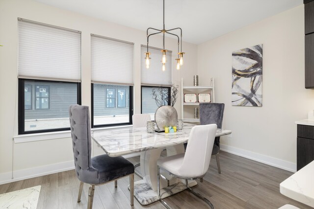 1049 Hampton Cir Unit 44, Detroit, MI 48207 - dining room with baseboards and wood finished floors