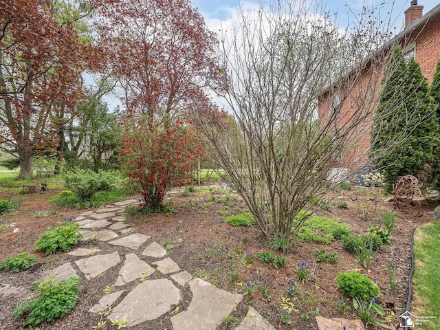6603 S Stony Creek Rd, Monroe, MI 48162 - view of yard