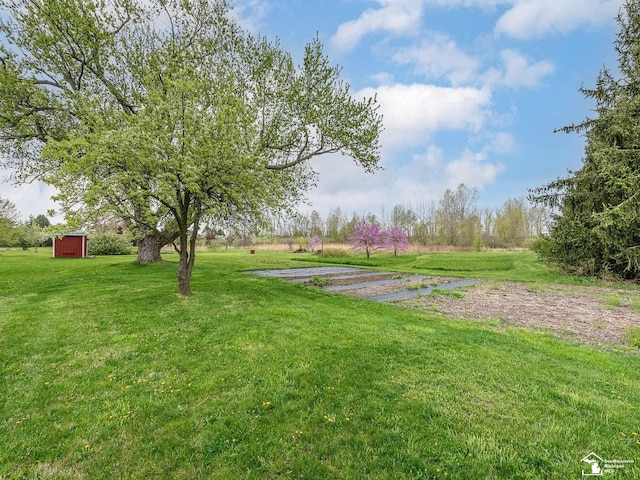 6603 S Stony Creek Rd, Monroe, MI 48162 - view of yard featuring an outdoor structure and a storage unit