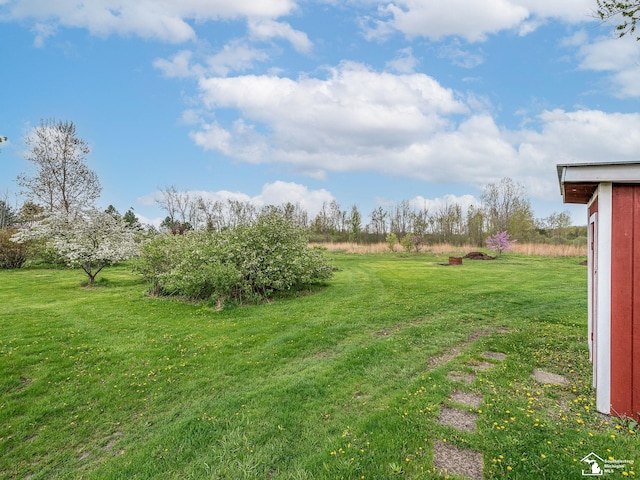 6603 S Stony Creek Rd, Monroe, MI 48162 - view of yard featuring a rural view