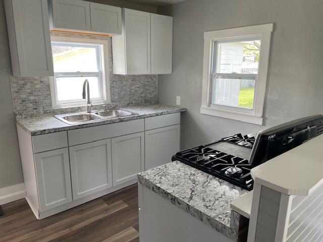 kitchen featuring decorative backsplash, dark wood-type flooring, light countertops, white cabinetry, and a sink