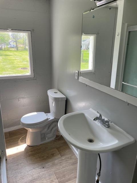 half bath with wood finished floors, a wealth of natural light, and toilet