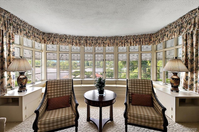 62 Robertson Ct, Clarkston, MI 48346 - sunroom featuring a textured ceiling and carpet flooring