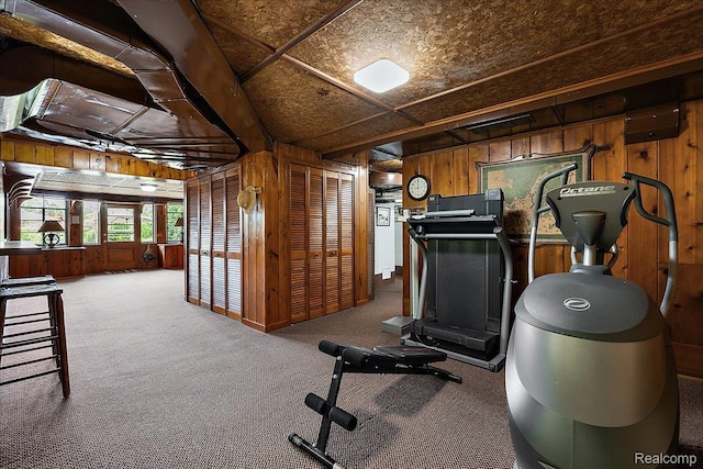 62 Robertson Ct, Clarkston, MI 48346 - exercise area with wooden walls and carpet flooring
